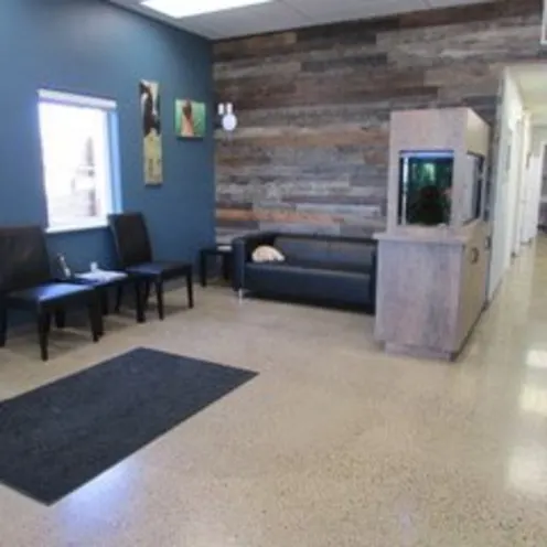 Couches in waiting area at Sequoia & Woodburn Veterinary Clinics